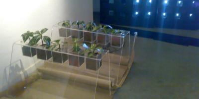 Fotografía de la instalación