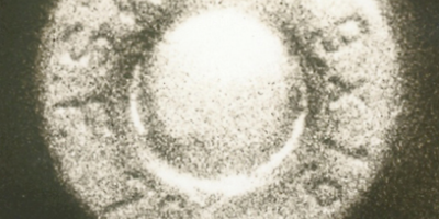 Tapa del poemario, fotografía en sepia de aspirina amplificada