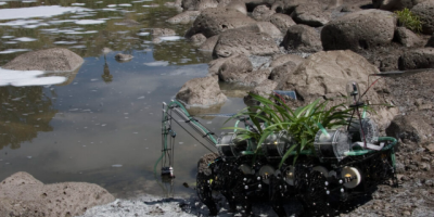 Registro de instalación "plantas nomadas" de Gilberto Esperanza