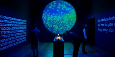 Instalación exhibida en el Instituto Valenciano de Arte Moderno - IVAM