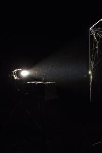 tela de araña siendo iluminada de forma directa para una mejor observación